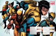 XMen Evolutions Wolverine