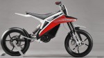 Husqvarna E-go