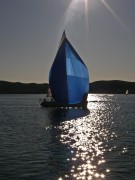 imagebam.com
