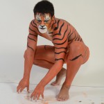 imagebam.com